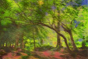 Roundwood wood,Cornwall.2013.jpg